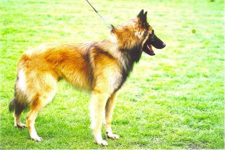 brucelee maroc imisil  brucelee_maroc@bm.com           ������ �����  �����  ��� ����  ��  ������  ���  ���  ����� �������  ���  ���  �����  ���� ��  �� ��� ��� ���  �����  ����  ��� ���  �����  �� ���